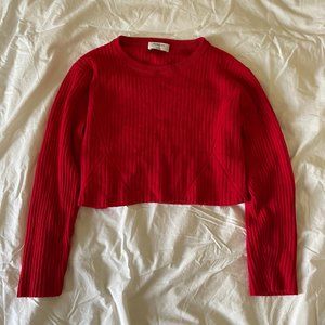 ARITZIA Red Sweater (Size L)